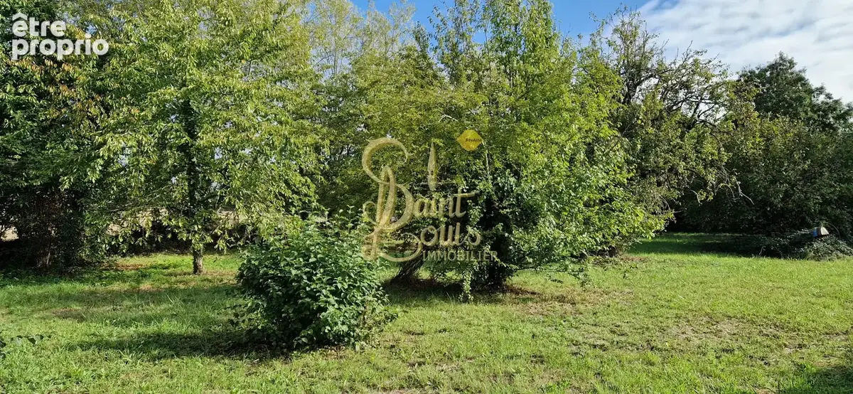 Ancien corps de ferme  avec 7000 m2 de parc et prairie sur les bords de vienne - photo 21