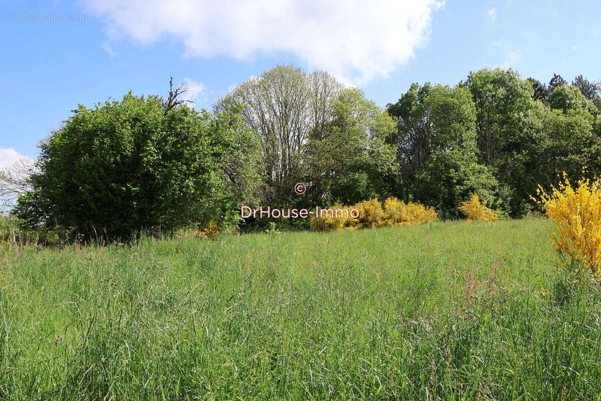 Terrain à SAINT-YRIEIX-LA-PERCHE