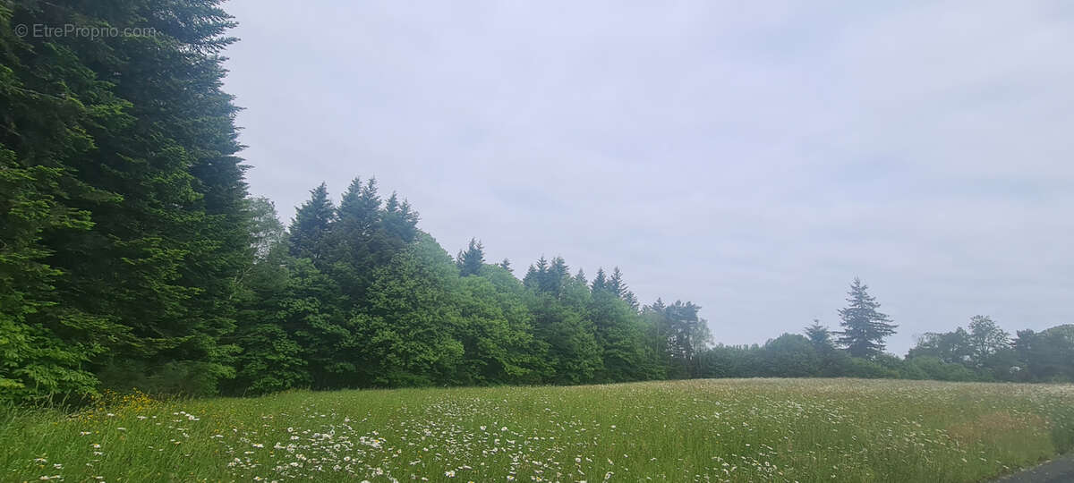 Terrain Constructible entre Brive et Tulle - photo 3