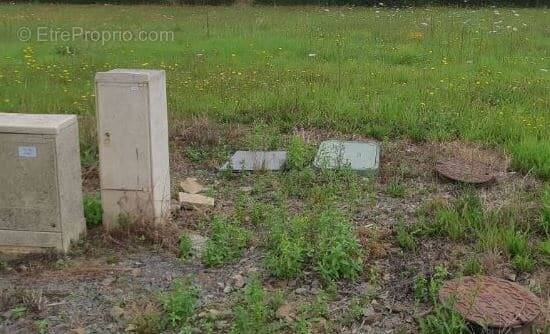 Terrain à SAINT-PERE-EN-RETZ