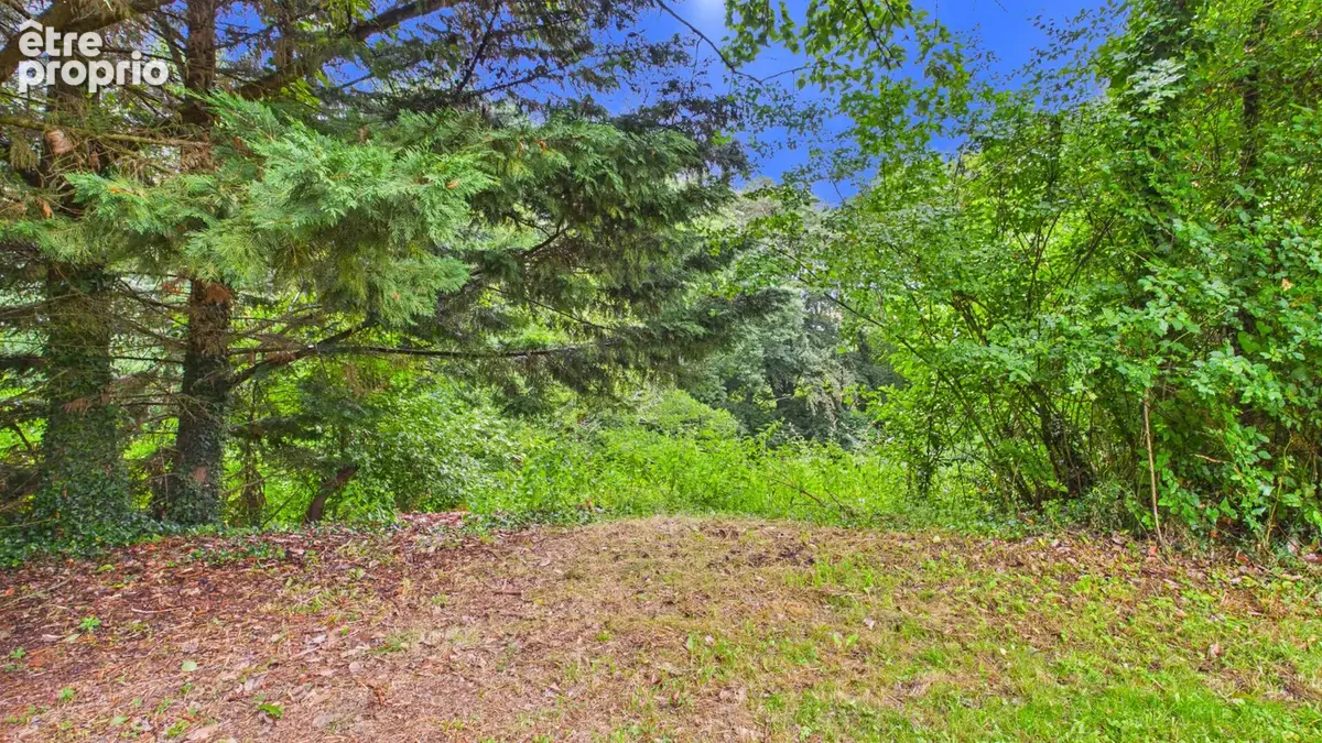 Terrain constructible de 2 244 m² avec forêt de 2 hectares - photo 5