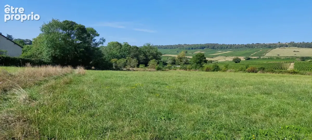 Le Domaine de la Griseaude - LOT 02 - photo 2