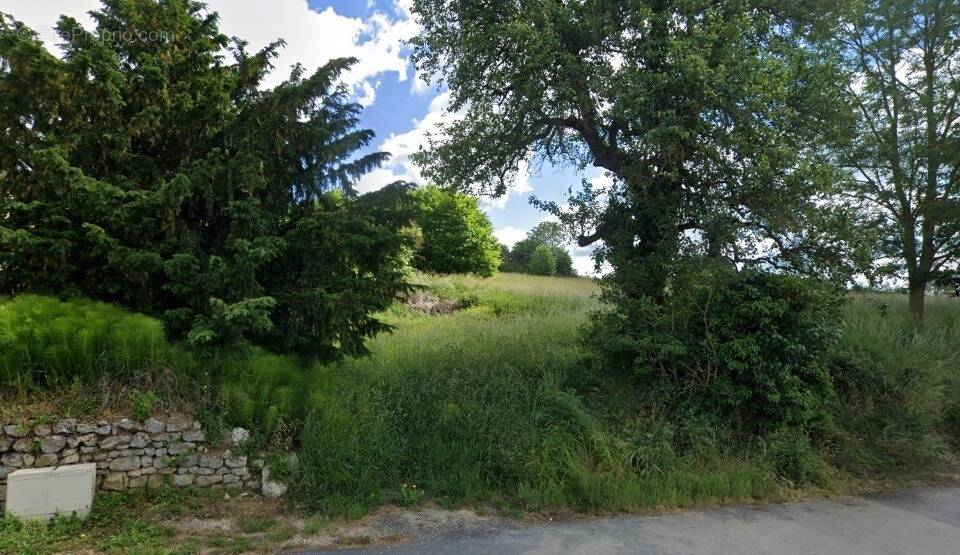 Terrain à JONCHERY-SUR-VESLE