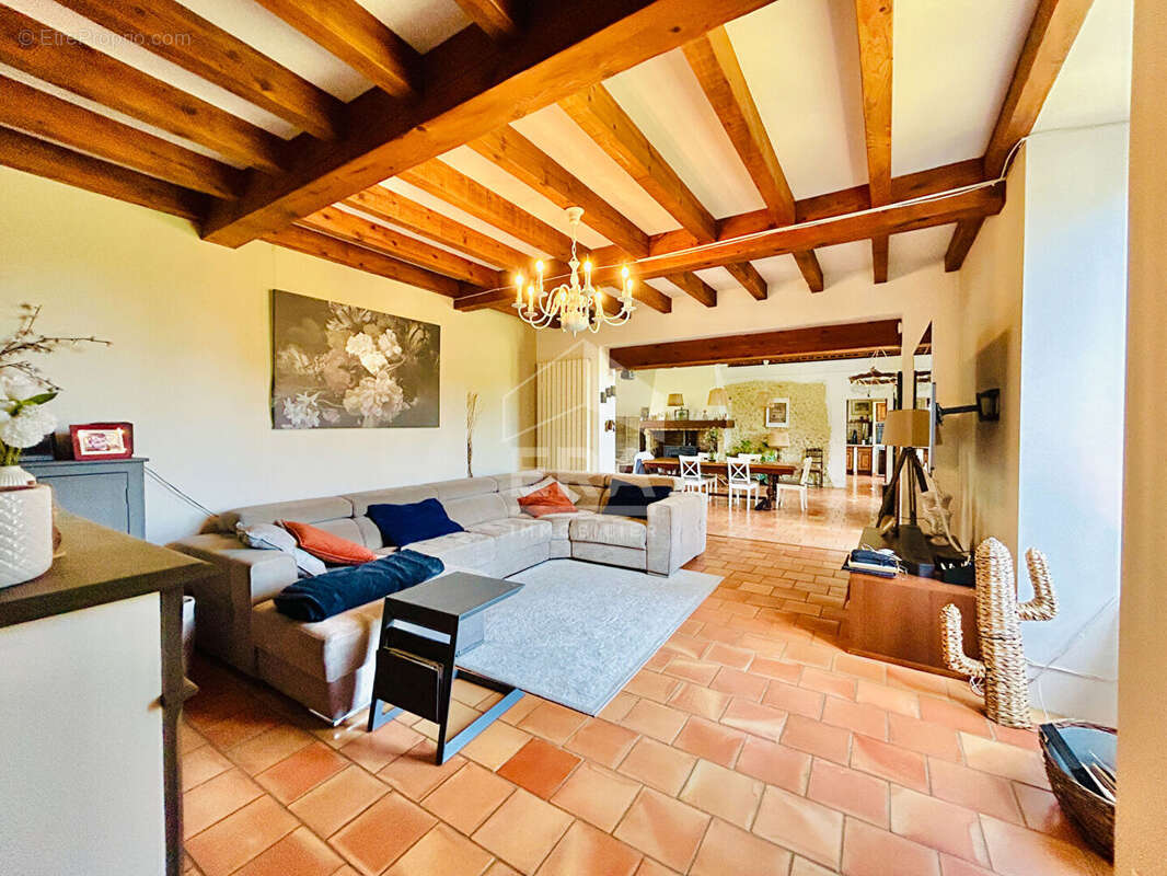 Maison 300m² à villefranque - photo 7