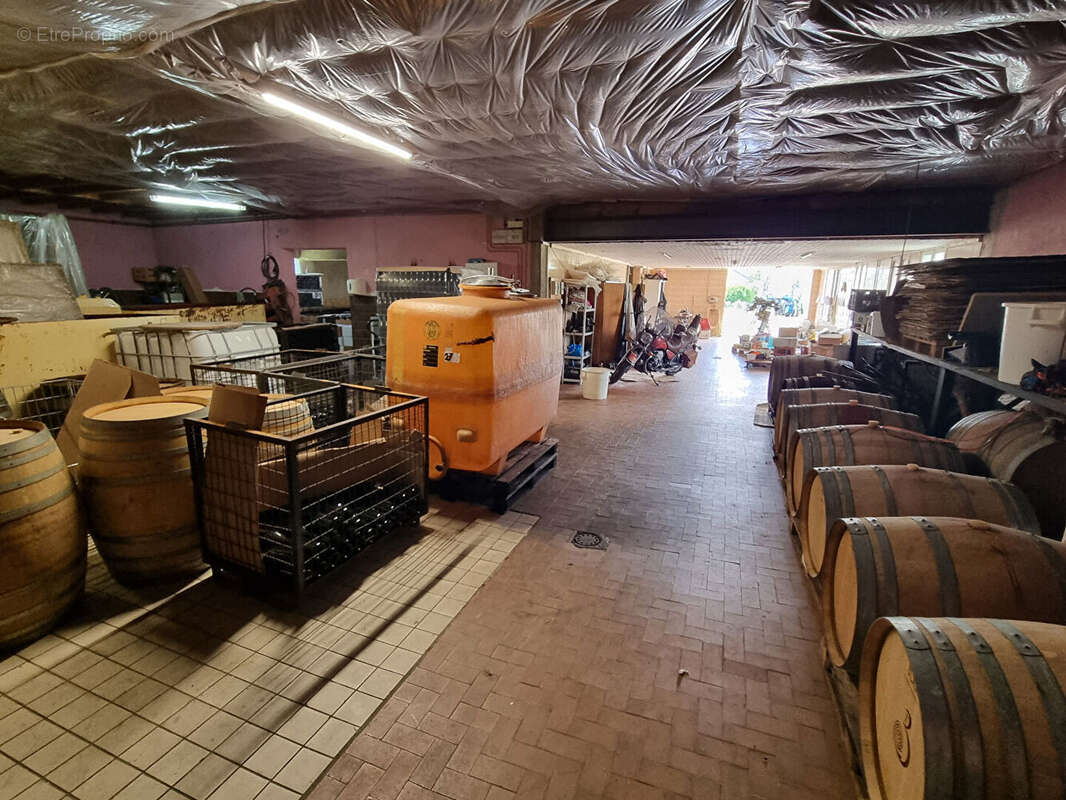 Commerce à MOREY-SAINT-DENIS