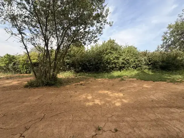 GENAY – SUR LES HAUTEURS – Terrain de 780 m² – Projet de villa de plain-pied – Permis en cours - photo 3