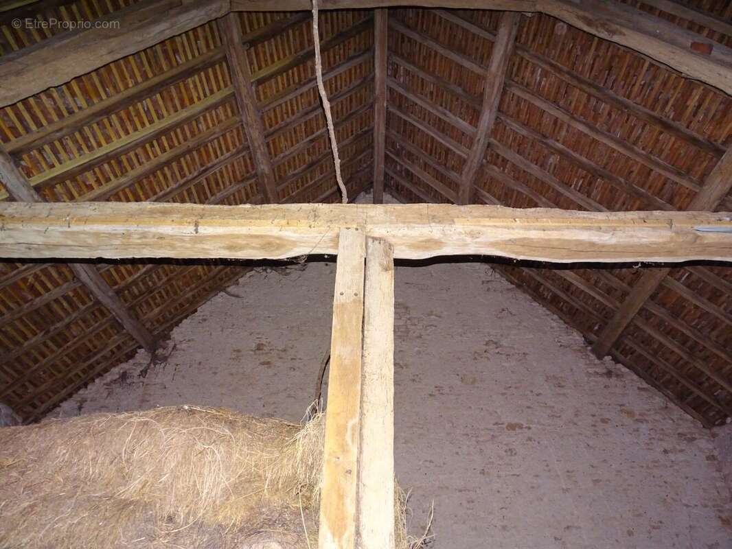 Maison à SAINT-SYMPHORIEN