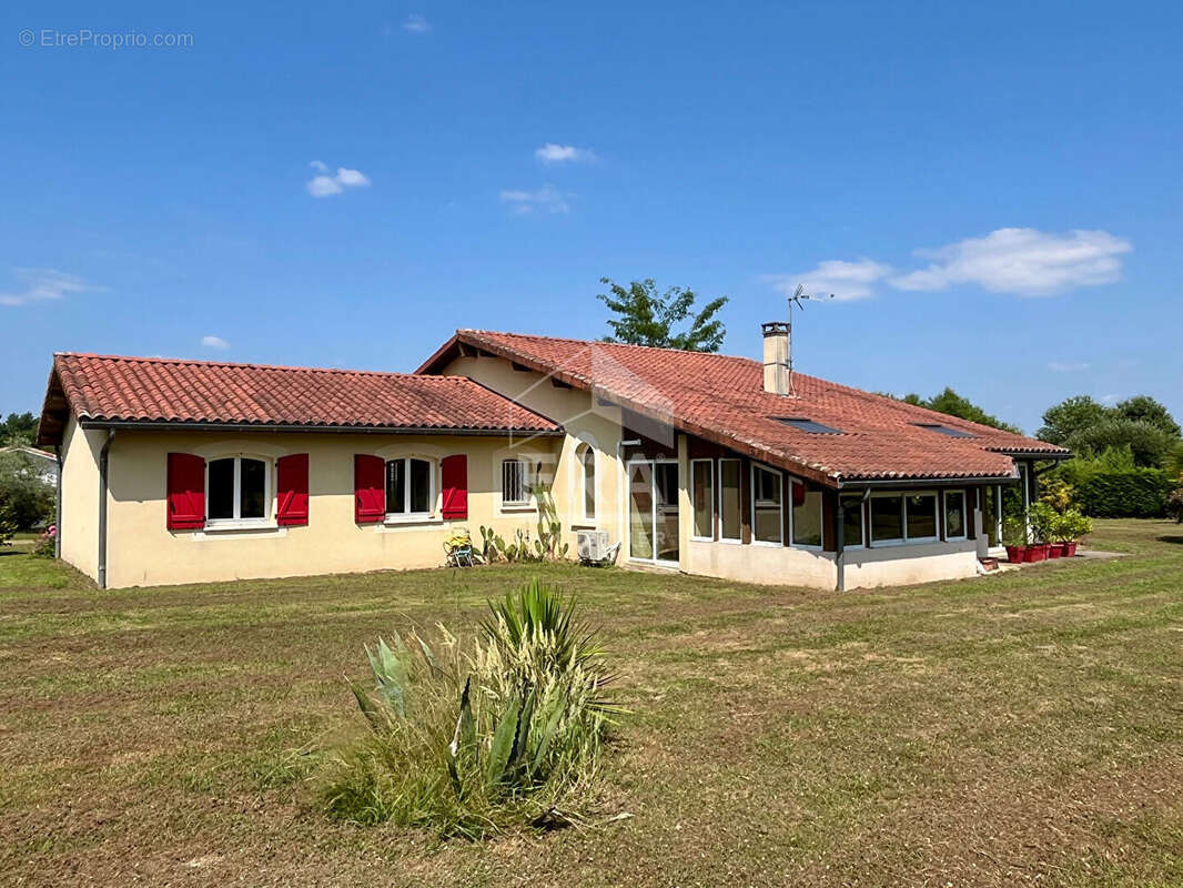 Maison à VILLENEUVE-DE-MARSAN