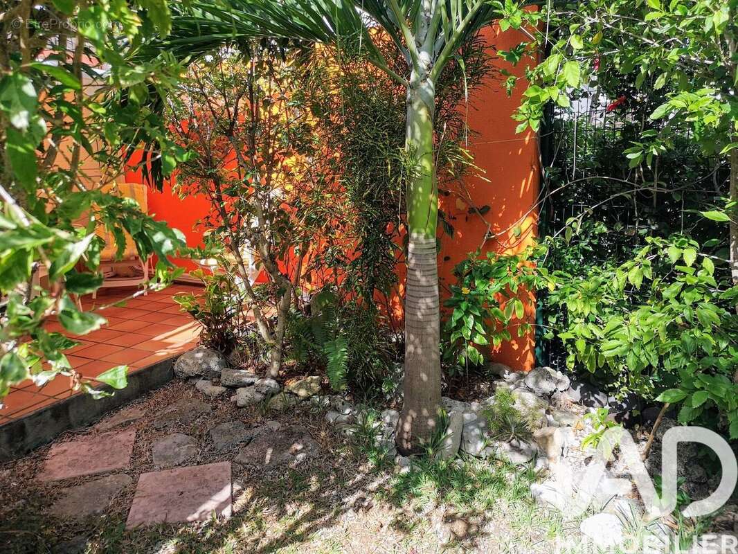 Photo 8 - Appartement à SAINT-FRANCOIS