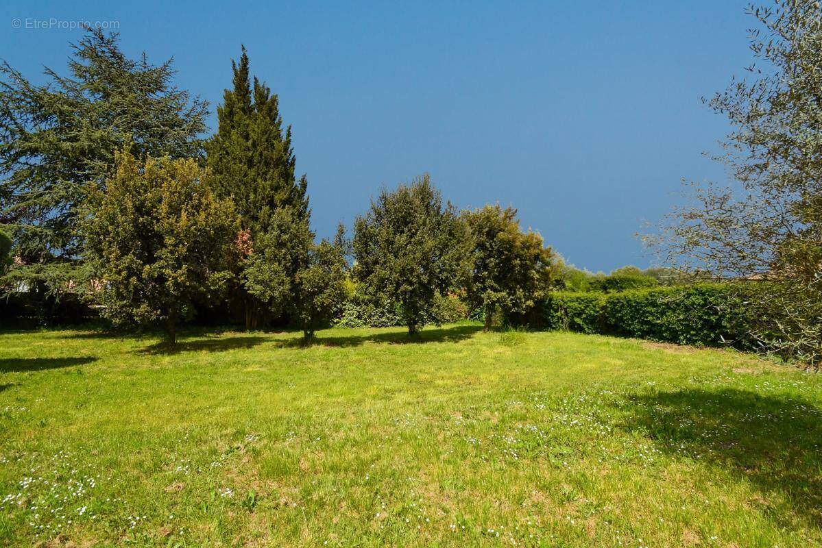 Terrain à SAINT-QUENTIN-LA-POTERIE