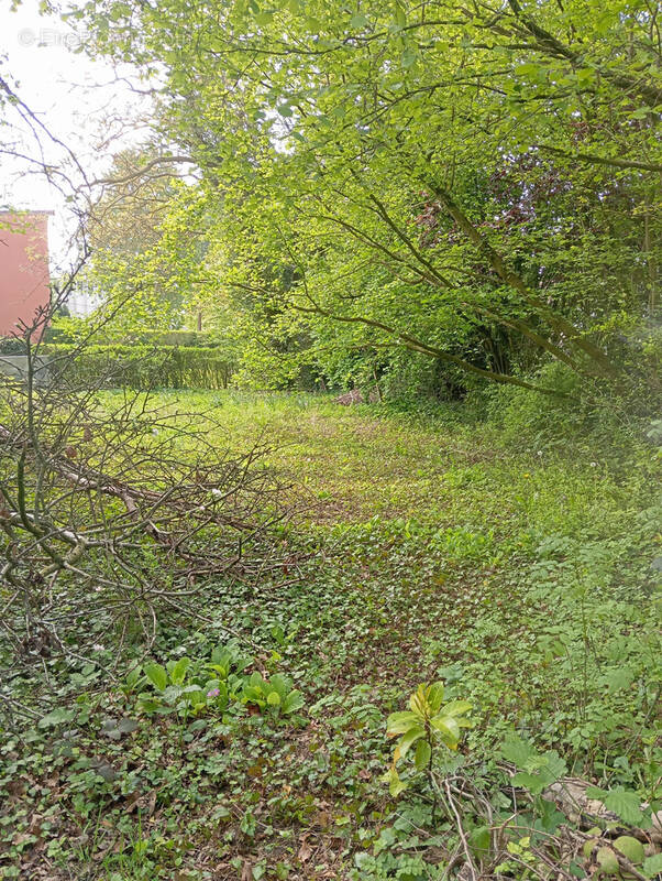 Terrain à BETHUNE