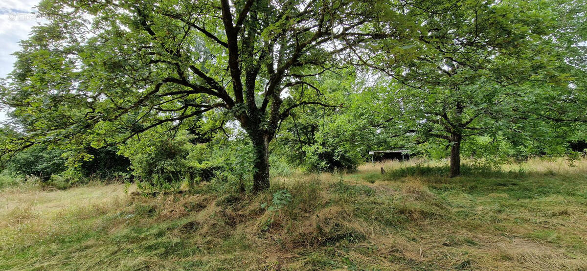 Terrain à TREPT