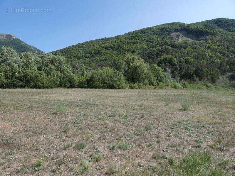 Terrain 3 170 m² à vendre à Le Saix (05400) - photo 5
