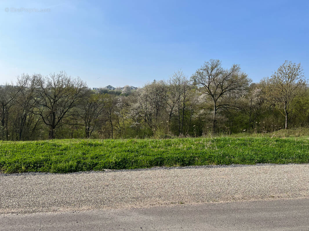 Terrain à SPICHEREN