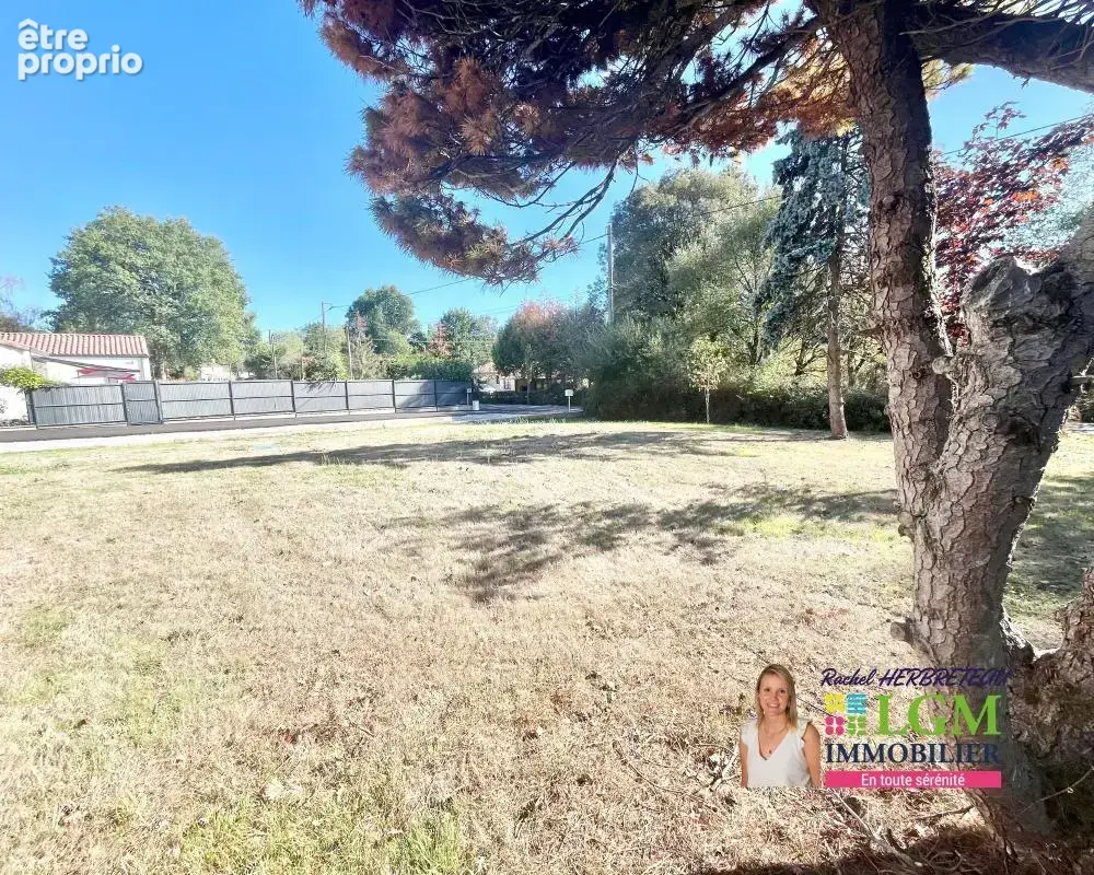 Maison de plain-pied rénovée – 87 m² – Terrain 1 778 m² – Venansault - photo 3