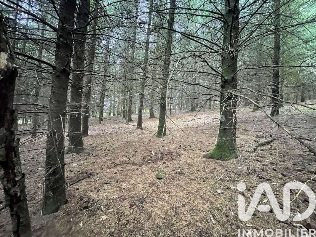 Photo 3 - Terrain à NEDDE