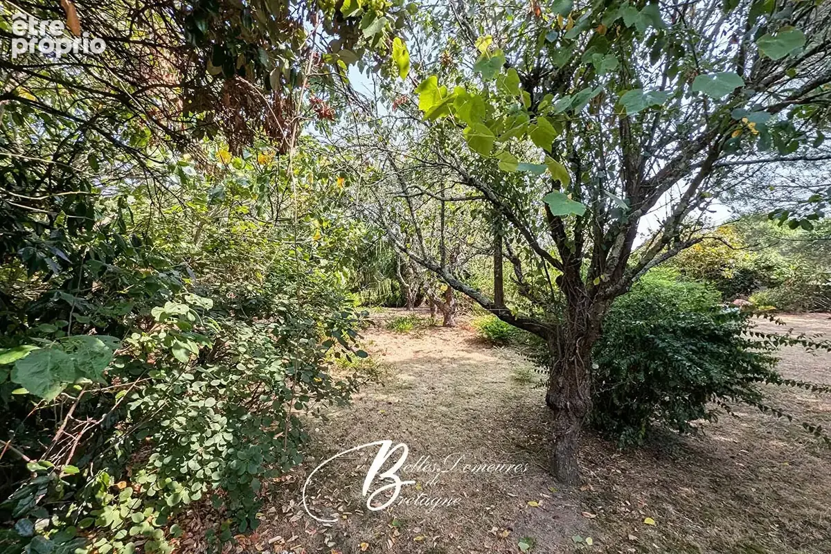 A vendre belle maison des années 50 avec terrain constructible à deux pas de la ria d'Etel - photo 19