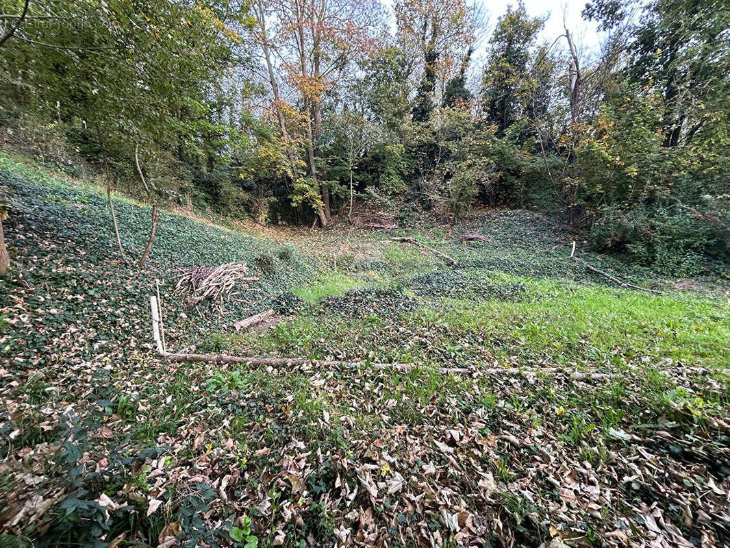 Terrain à VAUX-SUR-SEINE