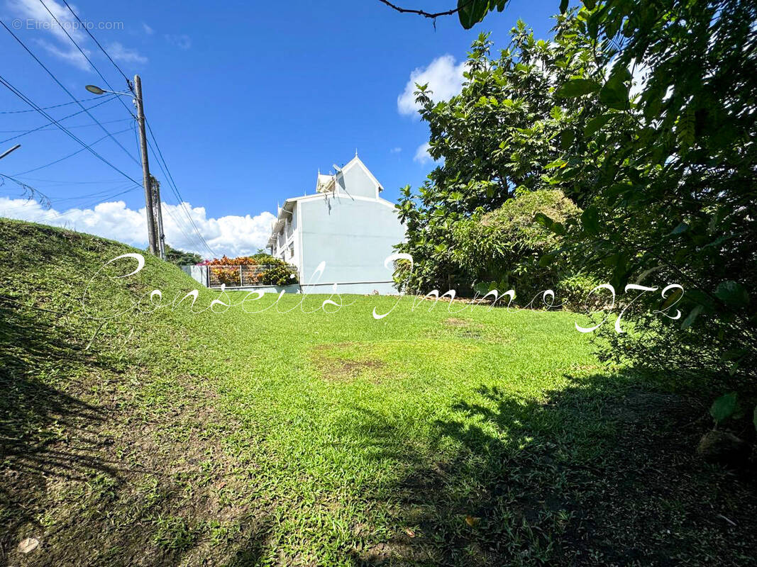 Terrain à SCHOELCHER