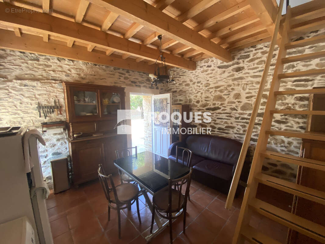 Vends  à Rosis, joli Mas avec garage et batisse annexe sur un terrain 2070 m2 - photo 6