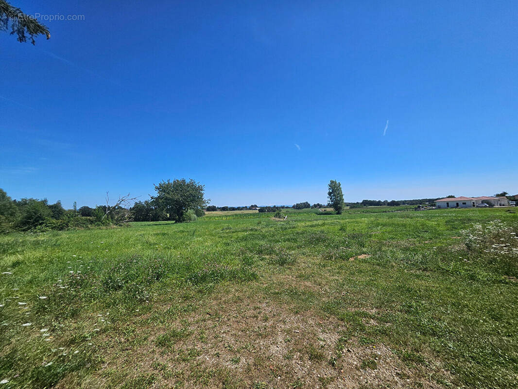 Terrain à BAGE-LA-VILLE