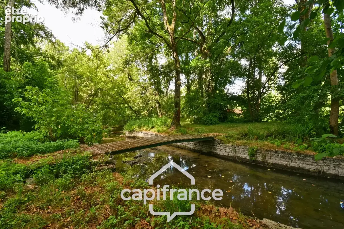 Maison de caractère à vendre 12 pièces SAINT SEVERIN SUR BOUTONNE (17) sur 4500m²de terrain arboré - photo 7
