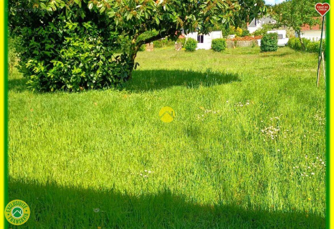 Maison à NEUVY-SUR-BARANGEON