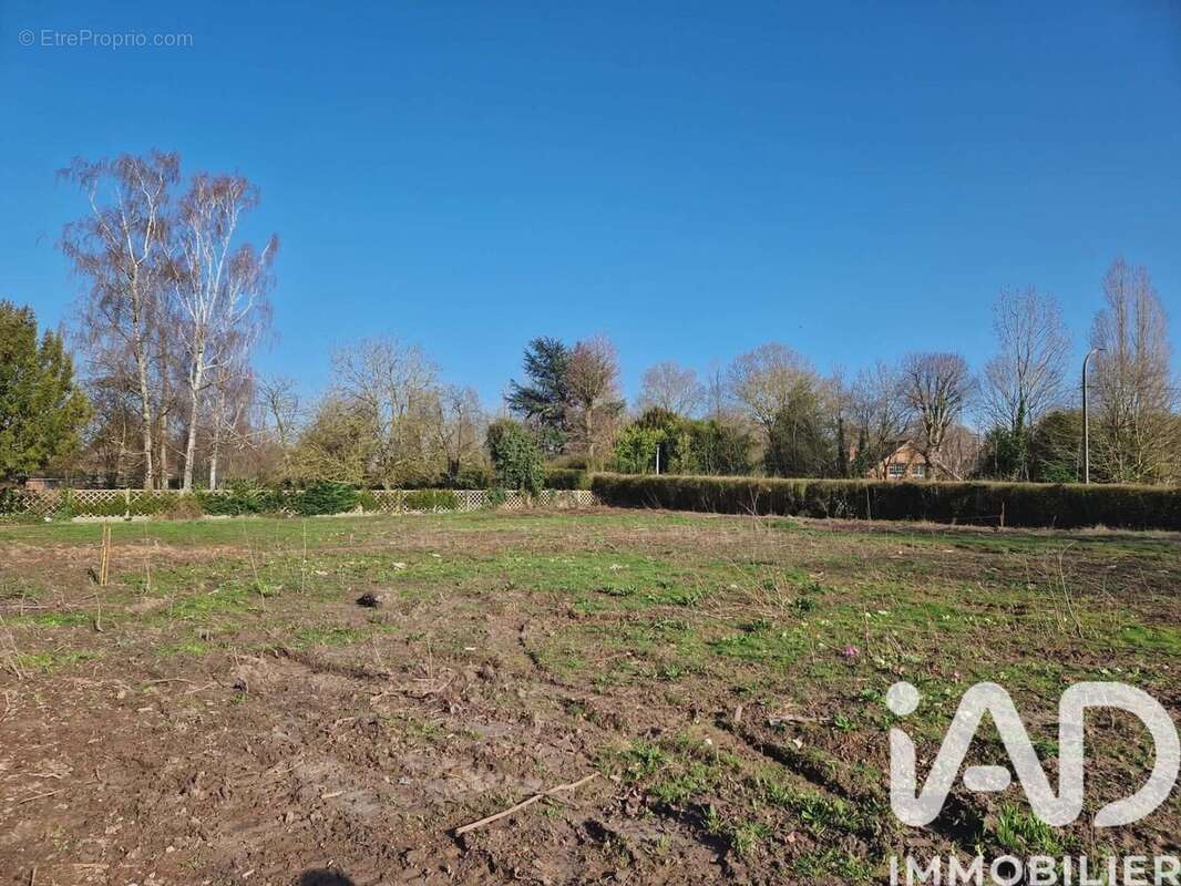 Photo 3 - Terrain à MAZINGARBE