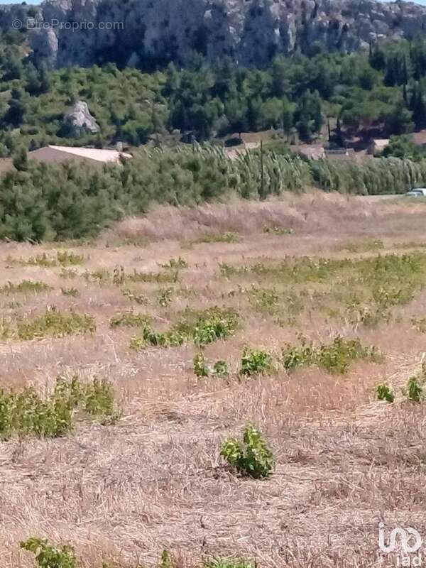 Photo 3 - Terrain à ROQUEFORT-DES-CORBIERES