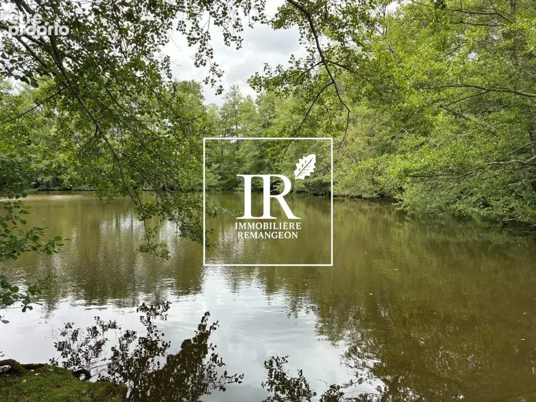 Propriete avec etang brinon sur sauldre - photo 3