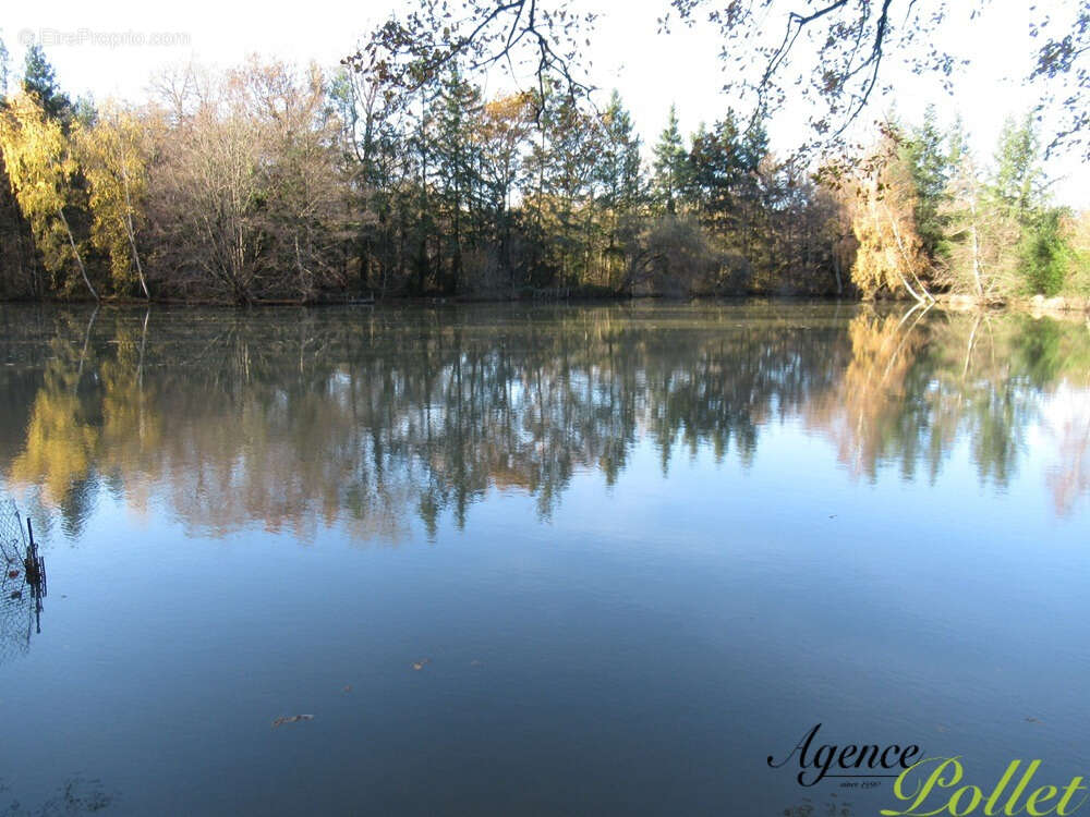 Terrain à VAILLY-SUR-SAULDRE