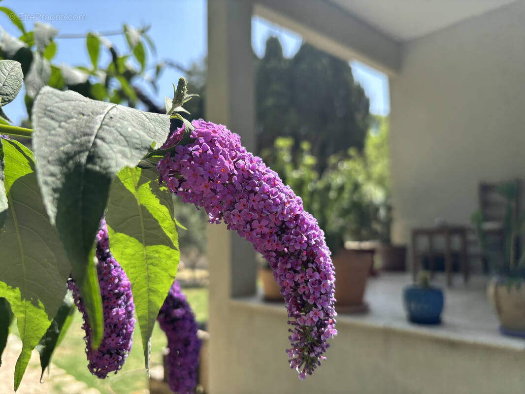 Maison à SAINT-ETIENNE-DU-GRES
