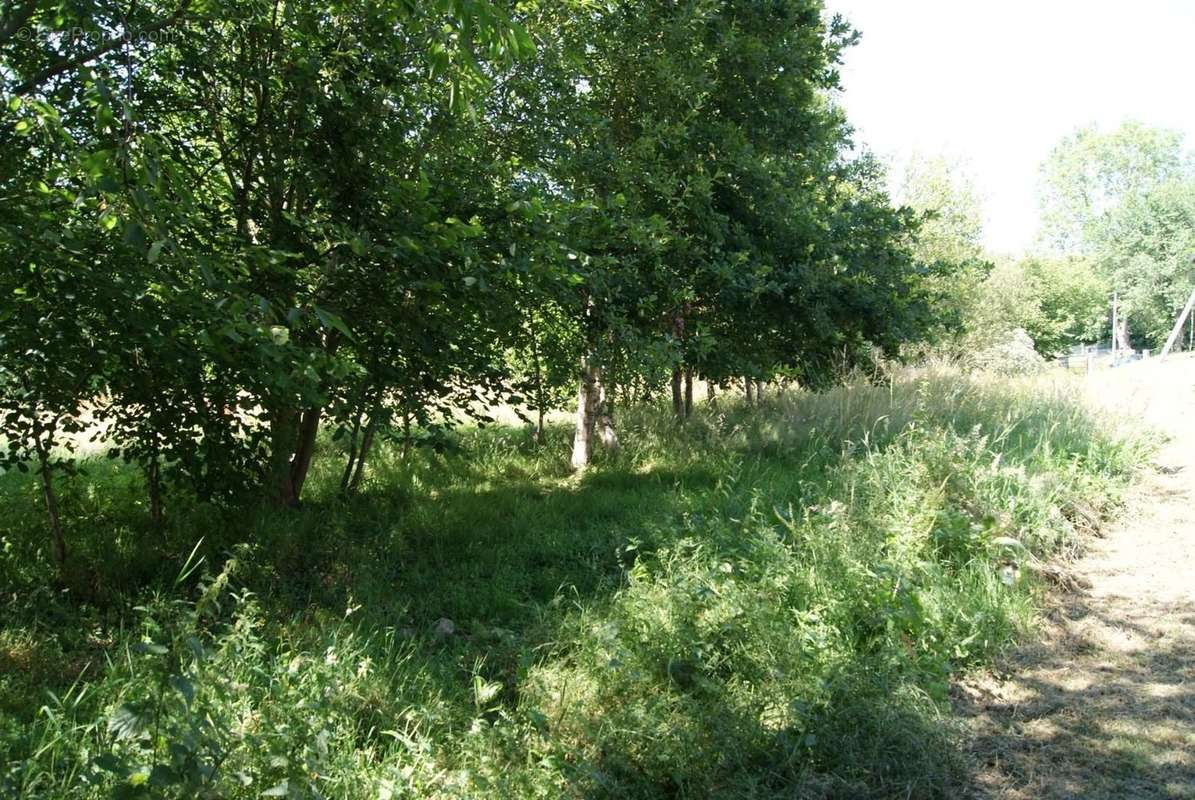 Terrain à SAINT-ANDRE-D&#039;HEBERTOT