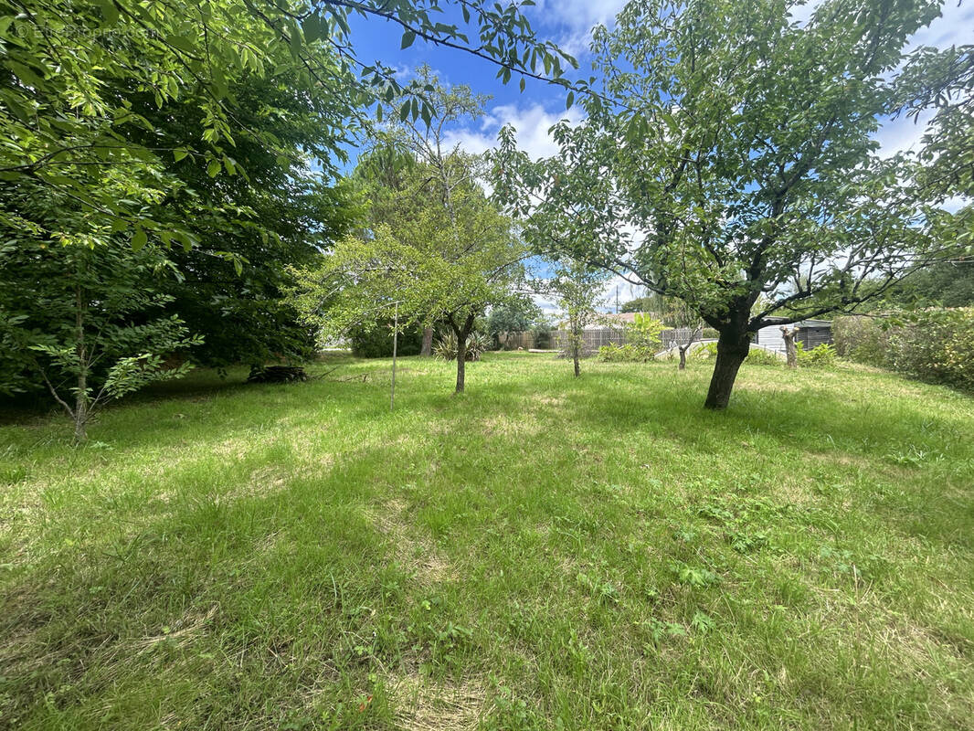 Terrain à SAINT-LOUBES