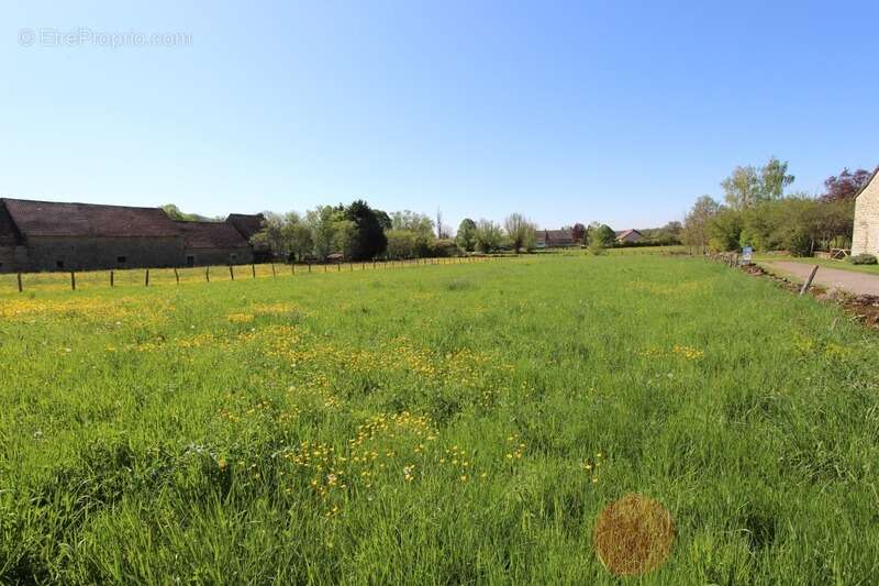 Dpt Côte d'Or (21), à vendre PAINBLANC, terrain à Bâtir de 1174 m² - photo 3