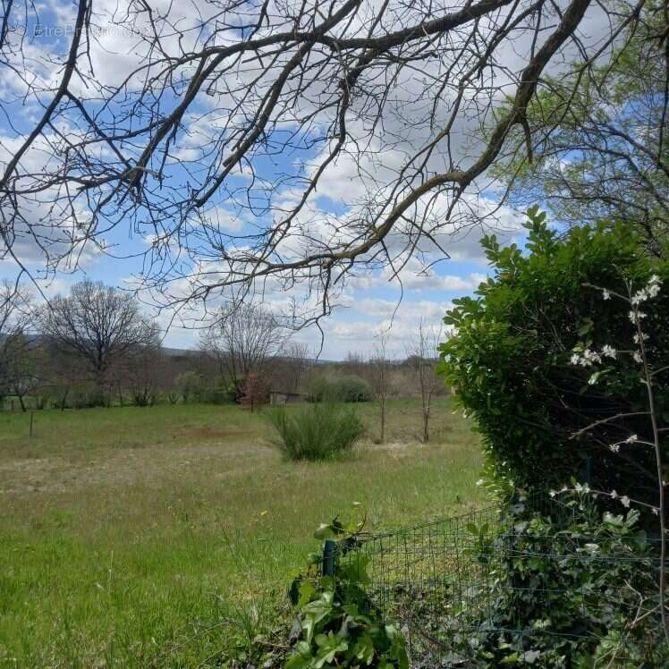 Terrain 1424 m² à Graulhet  - photo 4