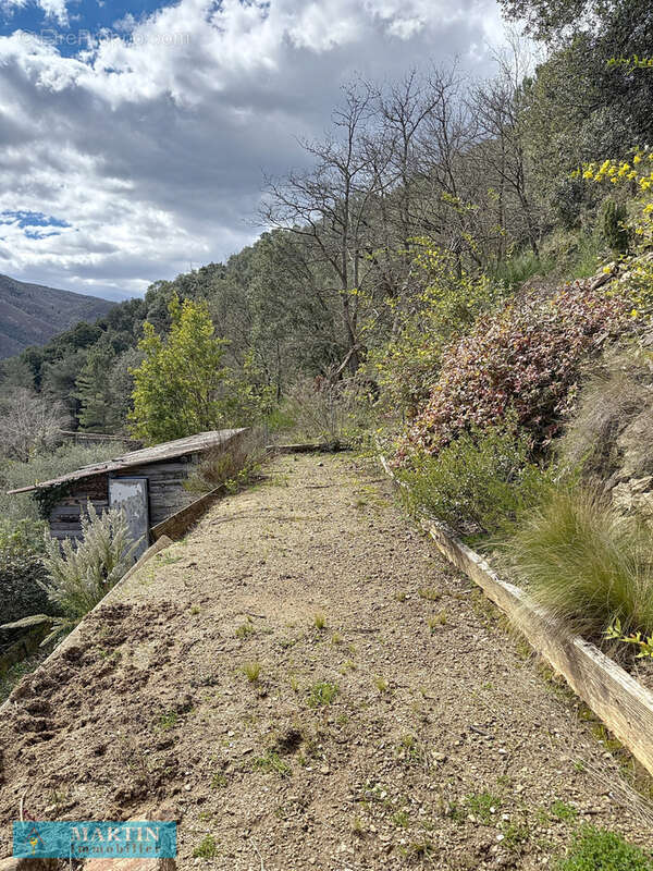 Maison à ARLES-SUR-TECH