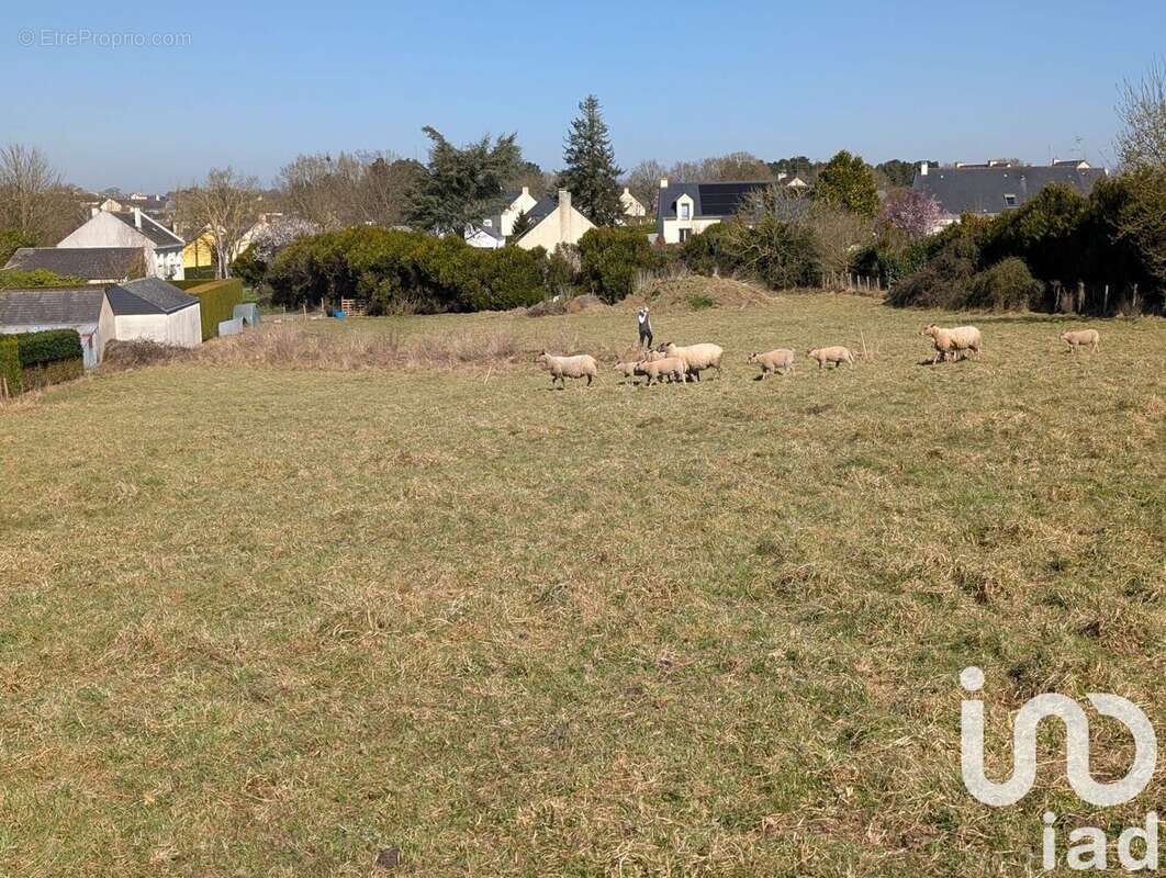 Photo 4 - Terrain à MOISDON-LA-RIVIERE