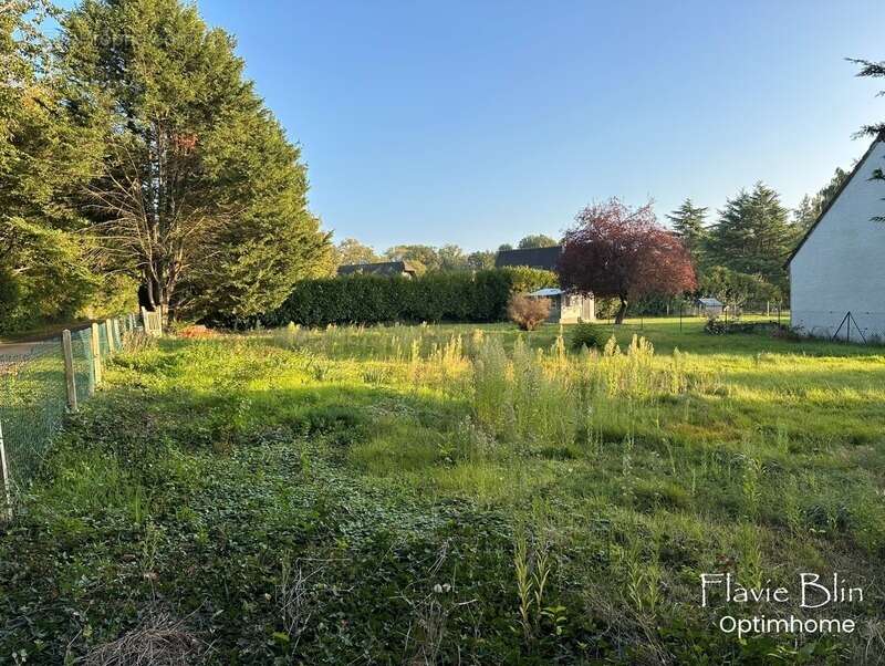 Terrain à REUILLY