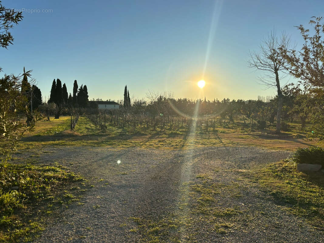 Maison à VALLABREGUES