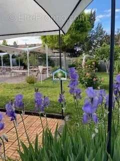 MULHOUSE ENVIRONS (68) Restaurant 460m² et Appartement 118m² sur 9,8 ares - photo 12