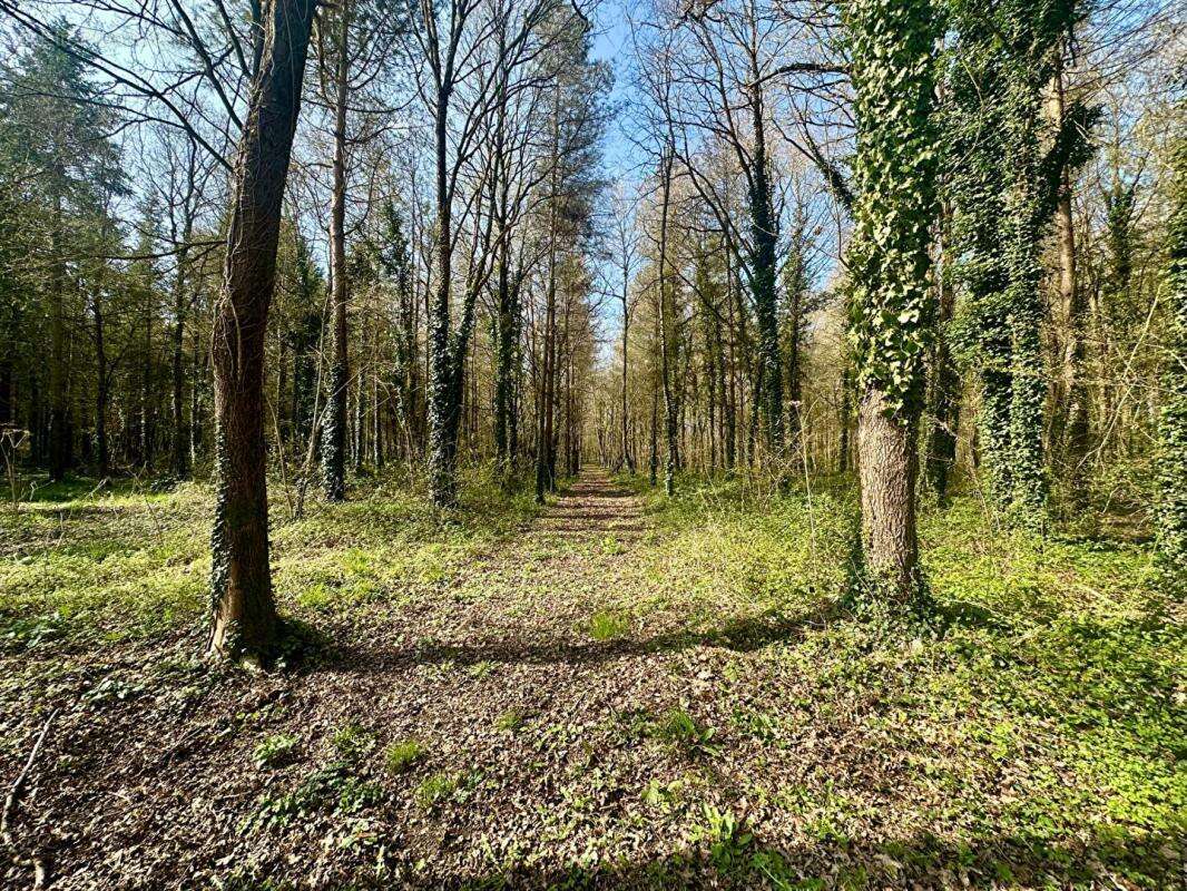 Maison à PONTVALLAIN