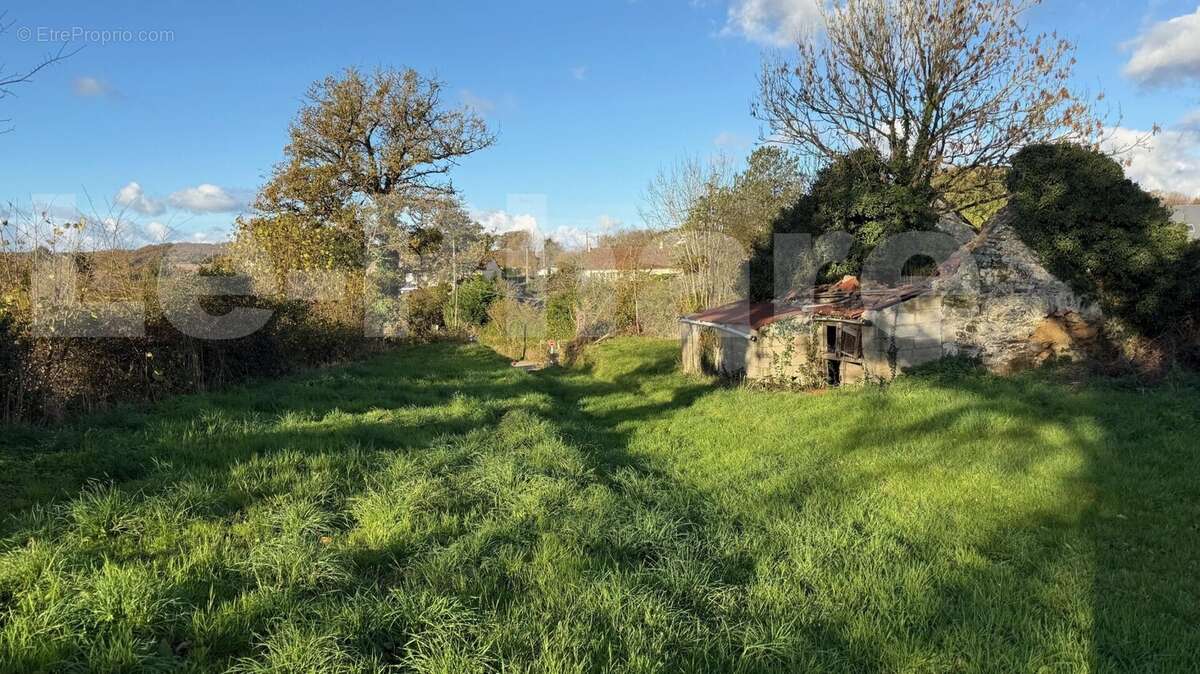 IMG_7132 - Terrain à SAINT-CHRISTOPHE-DU-FOC