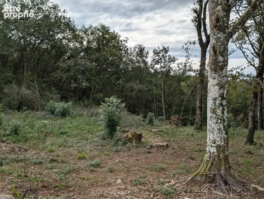 Terrain 2814 m² à La Cassagne  - photo 4