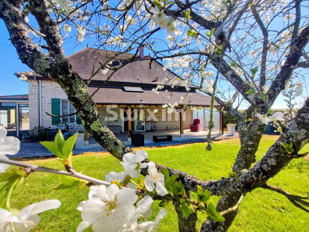 Maison à BEAUNE