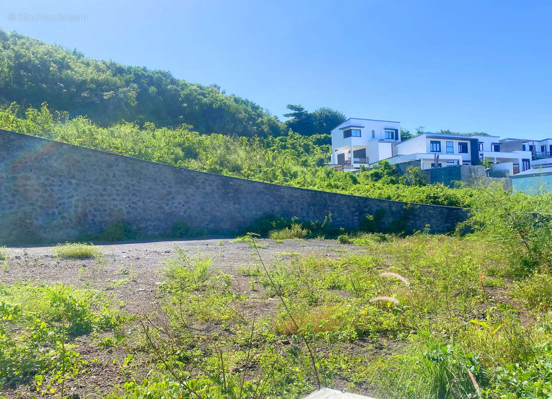 Terrain à SAINT-PIERRE