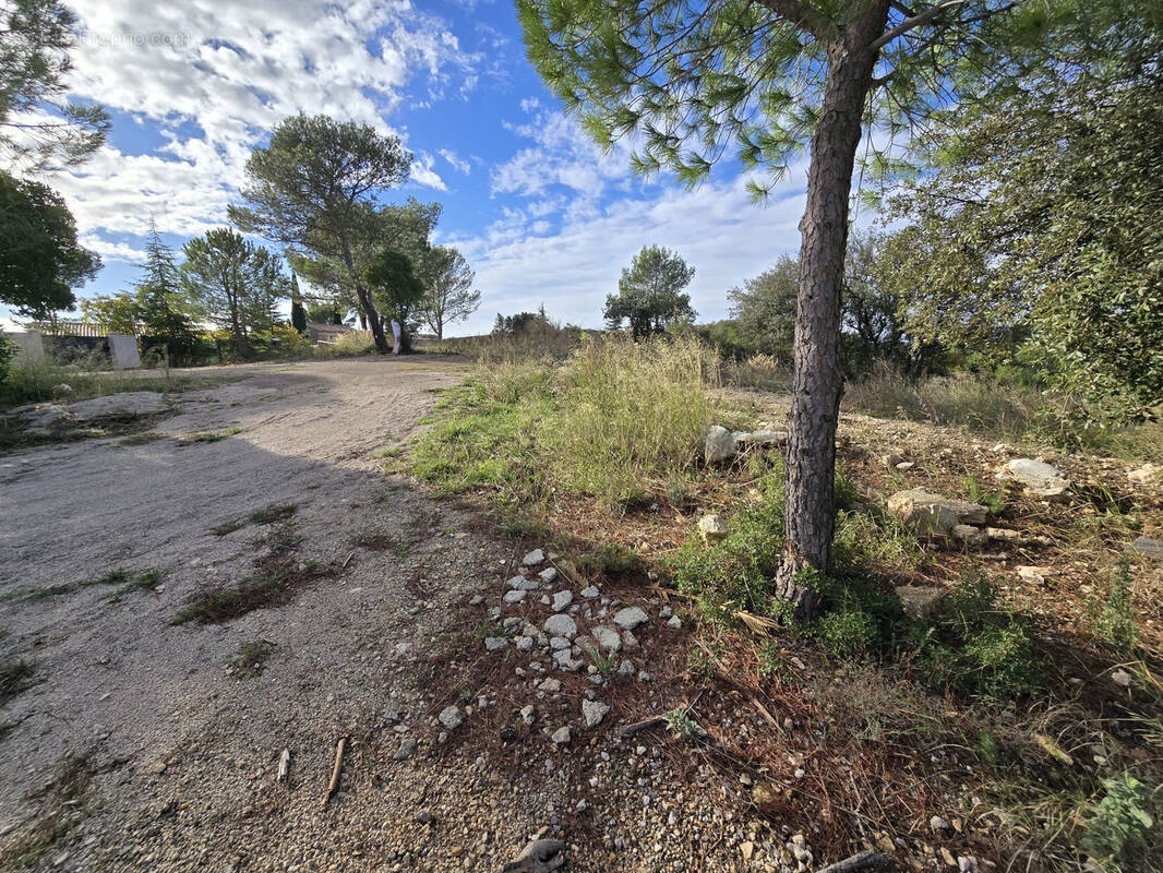 Terrain à COMBAILLAUX