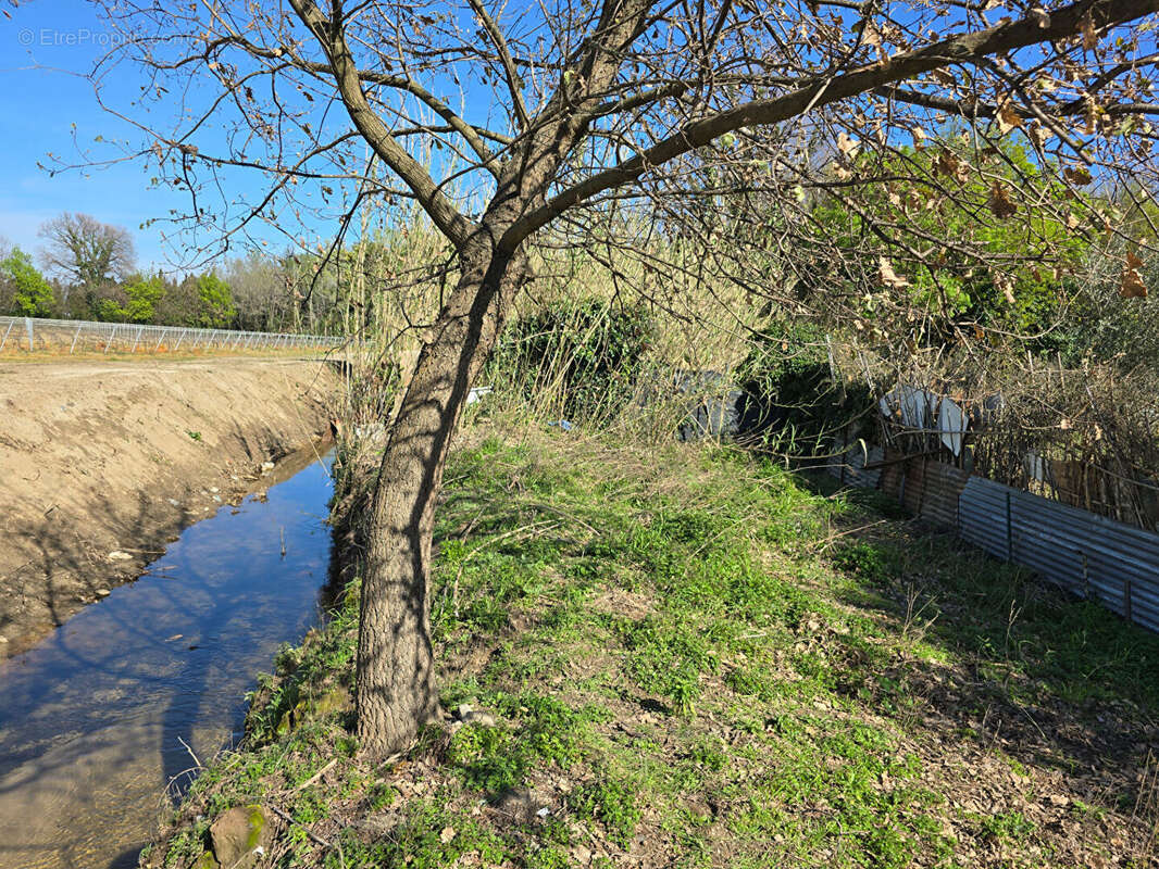 Terrain à ARGELES-SUR-MER