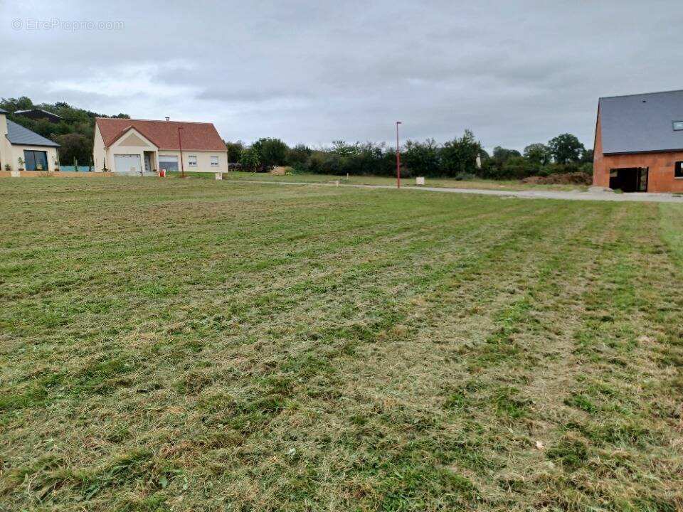 Terrain à SILLE-LE-GUILLAUME