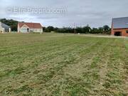 Terrain à SILLE-LE-GUILLAUME